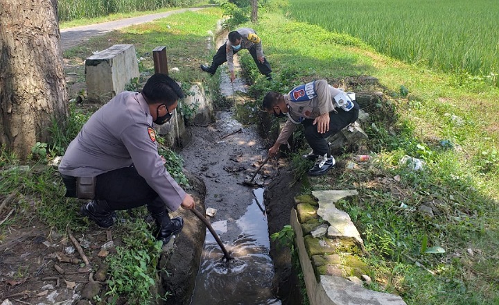 Mayat Pria Tanpa Identitas Ditemukan di Selokan Sawah Tulangan Sidoarjo