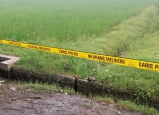 TKP Ditemukan Mayat Korban Pembunuhan Di Tulangan Sidoarjo