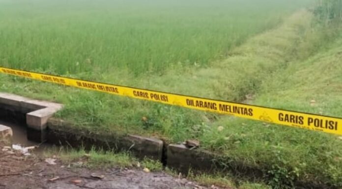 Terungkap, Pembunuh Pemuda Wonoayu Yang Ditemukan Di Selokan Sawah Tulangan TKP Ditemukan Mayat Korban Pembunuhan Di Tulangan Sidoarjo
