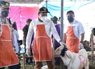 Antisipasi PMK, Pemkab Sidoarjo Sediakan Lapak Resmi Penjualan Hewan Kurban