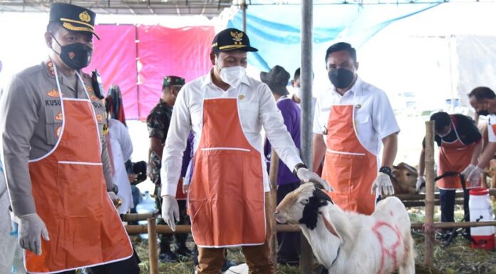 Antisipasi PMK, Pemkab Sidoarjo Sediakan Lapak Resmi Penjualan Hewan Kurban Antisipasi PMK, Pemkab Sidoarjo Sediakan Lapak Resmi Penjualan Hewan Kurban