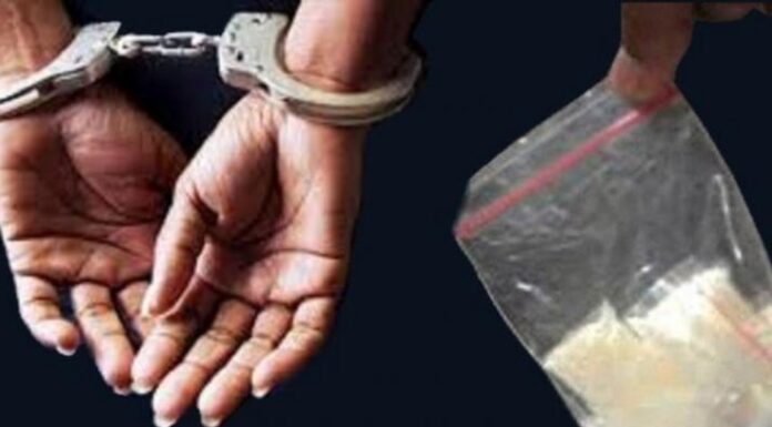 Edarkan Sabu, Perangkat Desa di Balongbendo Sidoarjo Diciduk Polisi Edarkan Sabu, Perangkat Desa di Balongbendo Sidoarjo Diciduk Polisi
